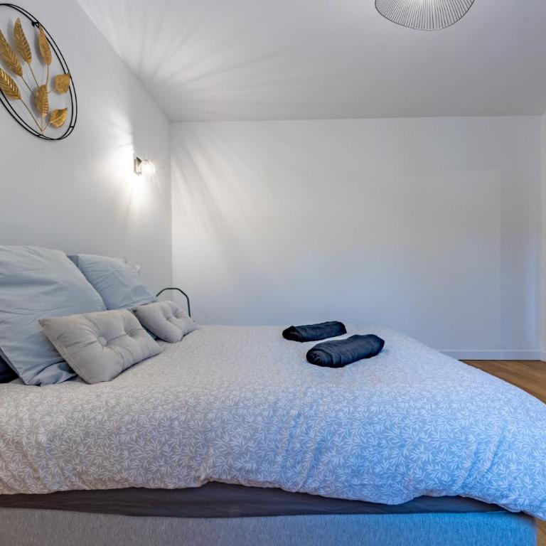 Le beau Briand proche gare parking facile - Appartement 1 Chambre - 16