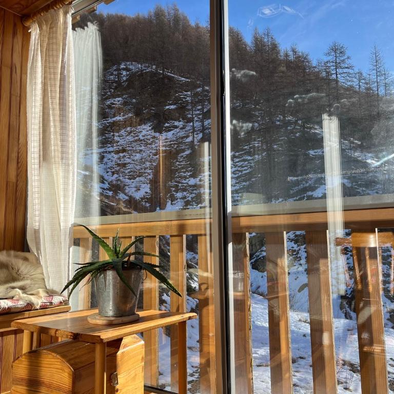 Grand studio avec véranda La Foux d'Allos - Appartement 1 Chambre - 1