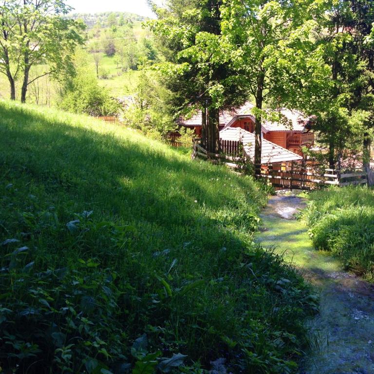 Zlatibor Resort & Spa - Vila - 47