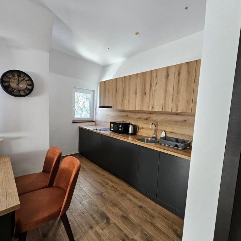 MASSIV Kopaonik centar lux apartmani - Apartman sa 1 Spavaćom Sobom i Pogledom na Park - 82