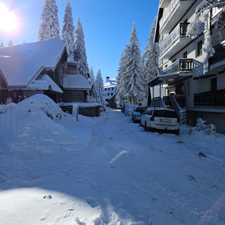 MASSIV Kopaonik centar lux apartmani - Apartman sa 1 Spavaćom Sobom i Pogledom na Park - 71