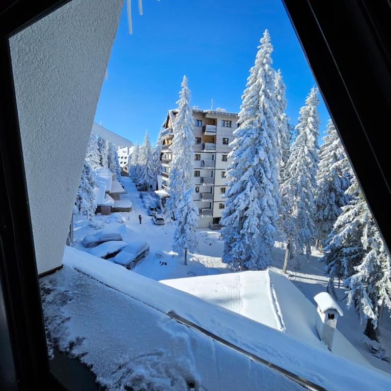 MASSIV Kopaonik centar lux apartmani - Apartman sa 1 Spavaćom Sobom i Pogledom na Park - 10