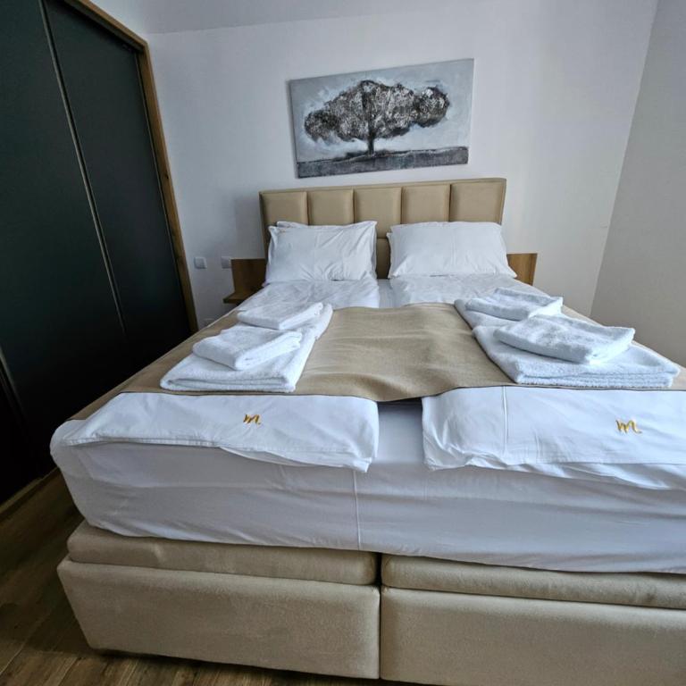 MASSIV Kopaonik centar lux apartmani - Apartman sa 1 Spavaćom Sobom i Pogledom na Park - 87