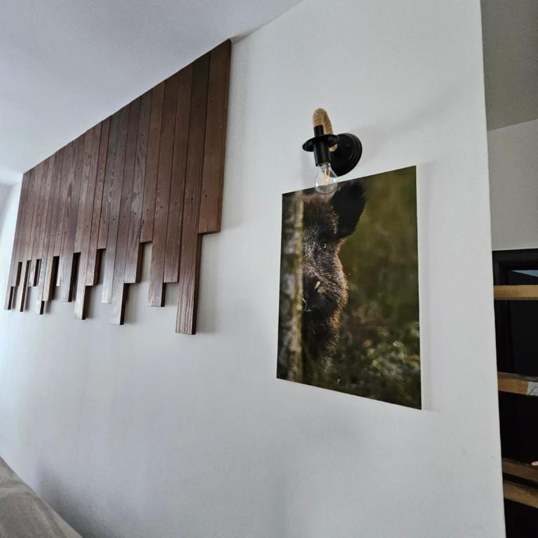 MASSIV Kopaonik centar lux apartmani - Apartman sa 1 Spavaćom Sobom i Pogledom na Park - 76
