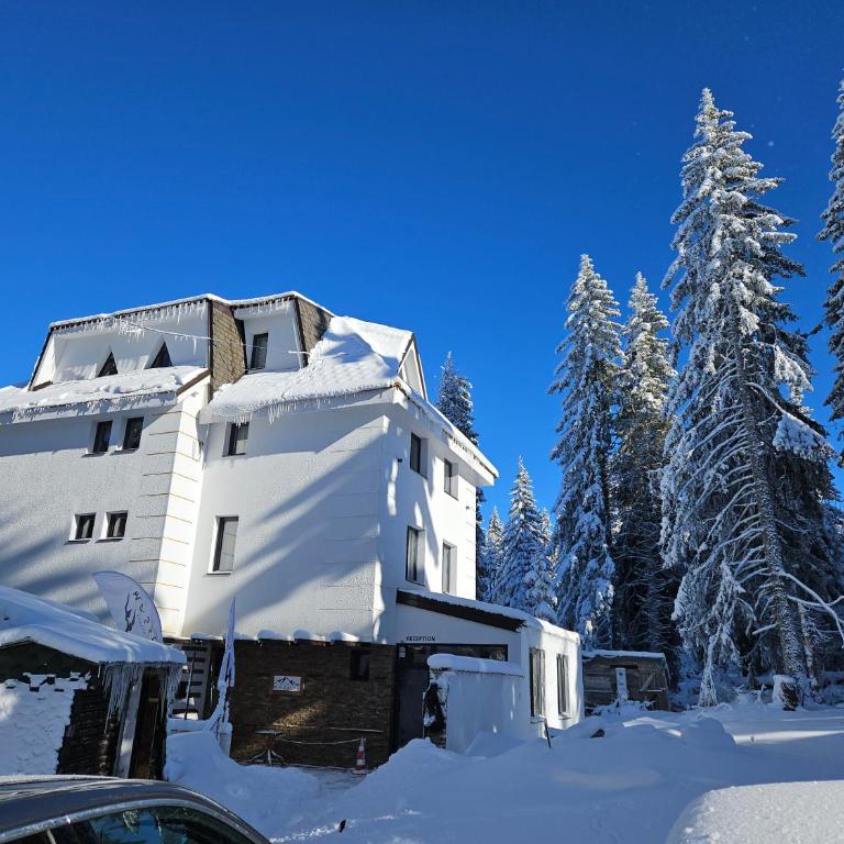 MASSIV Kopaonik centar lux apartmani - Apartman sa 1 Spavaćom Sobom i Pogledom na Park - 6