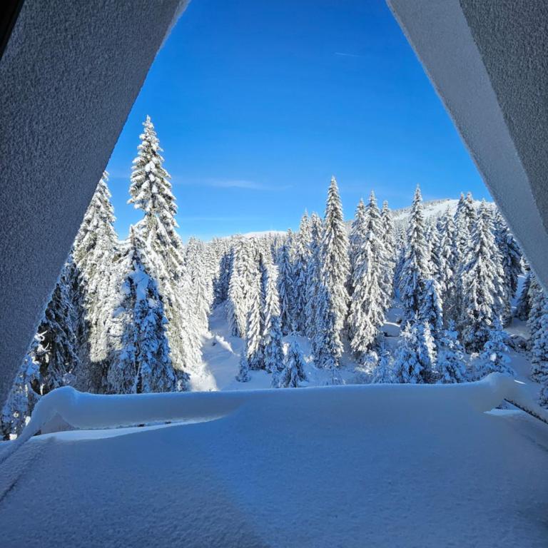 MASSIV Kopaonik centar lux apartmani - Apartman sa 1 Spavaćom Sobom i Pogledom na Park - 90
