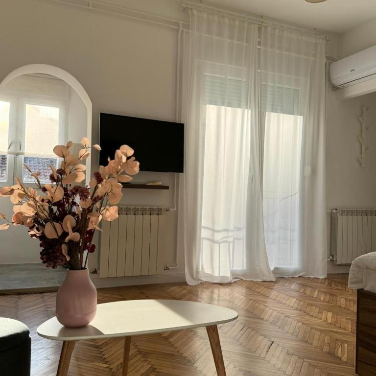 Balconia sunny apartment in centre of Belgrade - One-Bedroom Apartment - 5