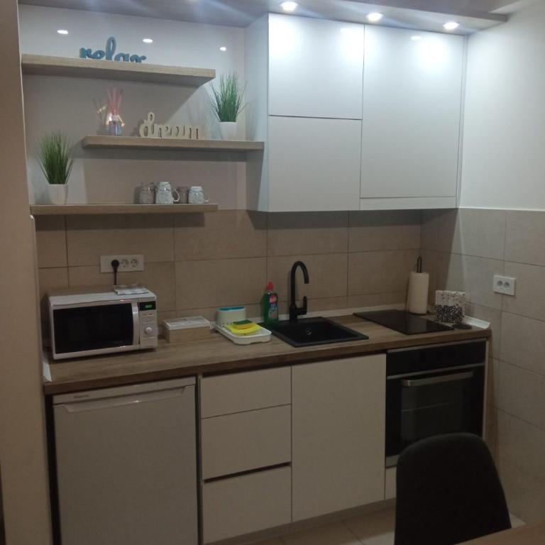 Apartman Zara - free private parking - - Apartman sa 1 Spavaćom Sobom - 5