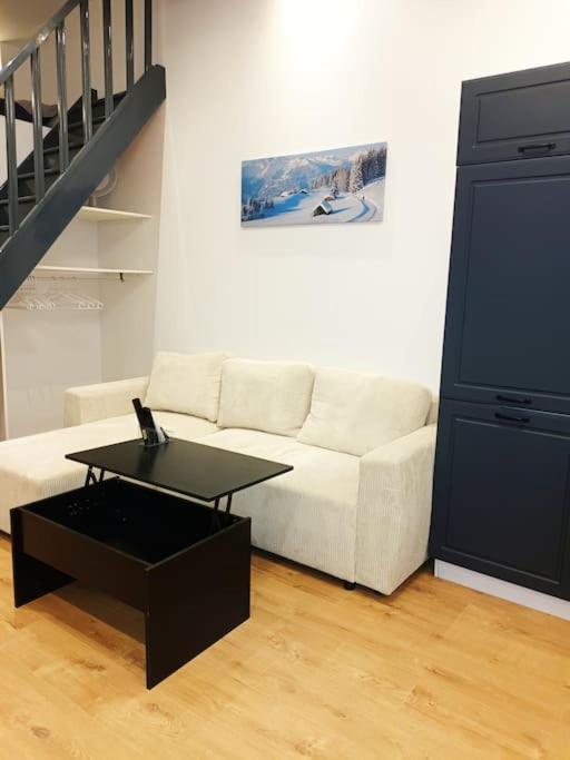 Grand studio avec mezzanine - Appartement 1 Chambre - 3