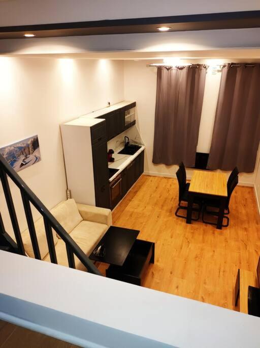 Grand studio avec mezzanine - Appartement 1 Chambre - 17