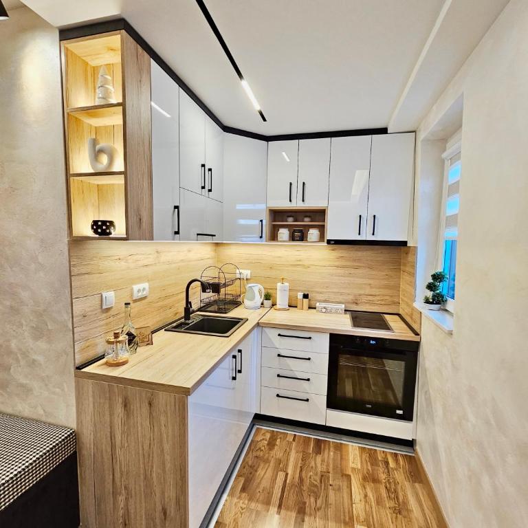 Dream Luxury Jahorina - Apartman sa 1 Spavaćom Sobom - 5