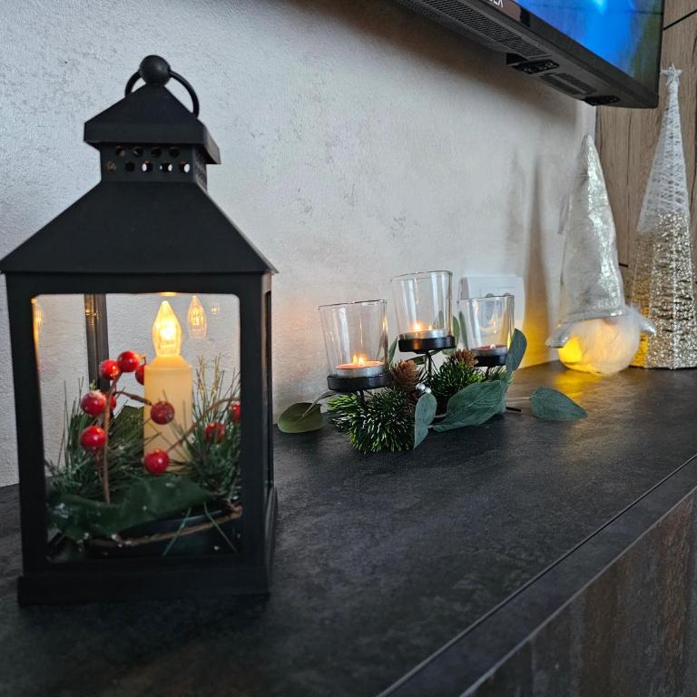 Dream Luxury Jahorina - Apartman sa 1 Spavaćom Sobom - 26