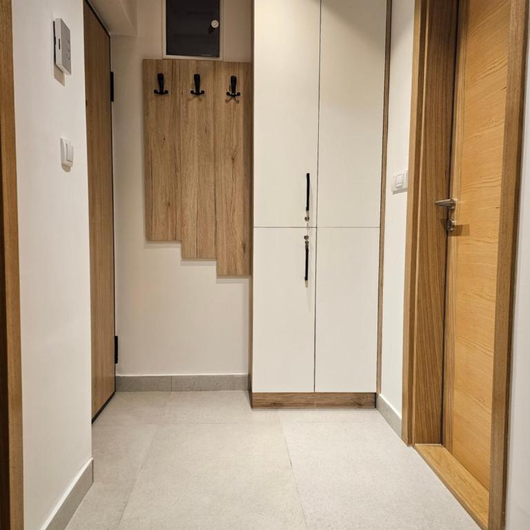 Dream Luxury Jahorina - Apartman sa 1 Spavaćom Sobom - 29