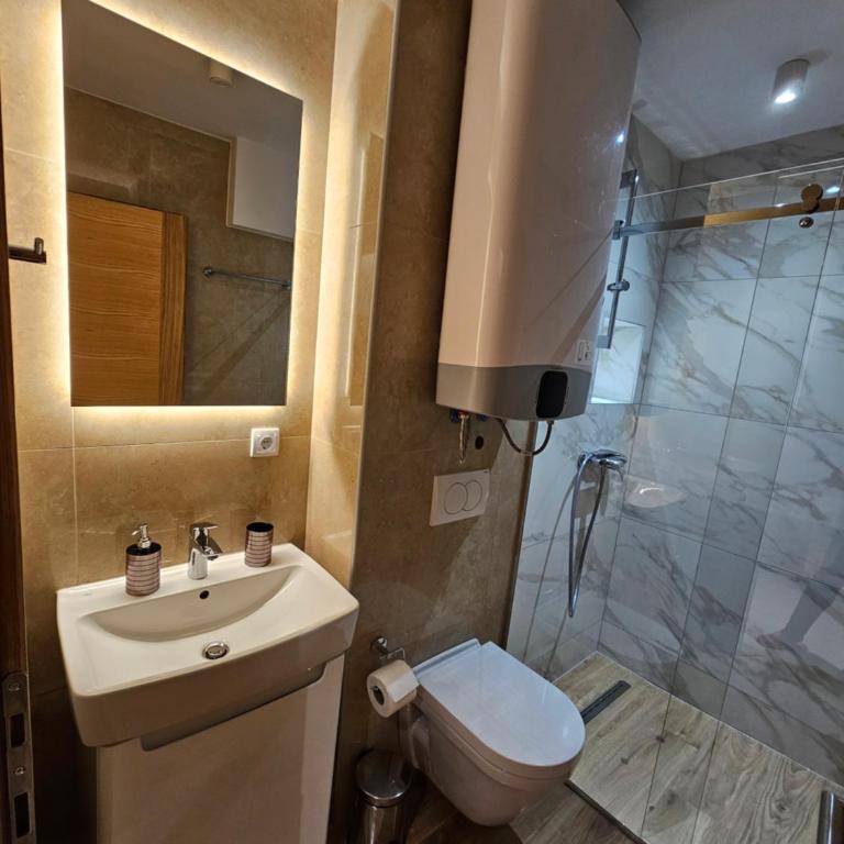 Dream Luxury Jahorina - Apartman sa 1 Spavaćom Sobom - 30