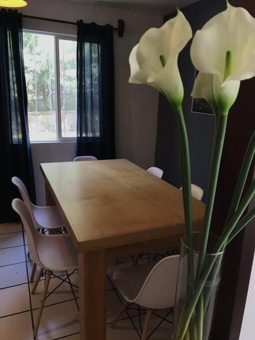 Posadas nido del tecolote - Three-Bedroom Apartment - 6