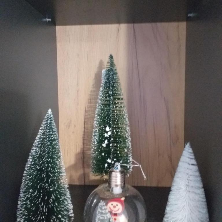 studio-apartman ,,ISSA,, - Apartman sa 1 Spavaćom Sobom - 31