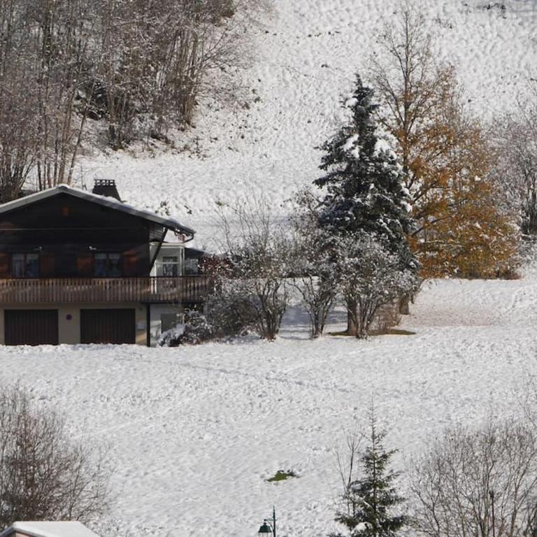 Chalet de montagne Pierre et Gaby non-fumeur hôte non professionnel - Chalet 2 Chambres - 1