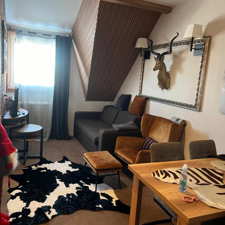 Аpartman 511 Zupa - Apartman sa 1 Spavaćom Sobom - 14