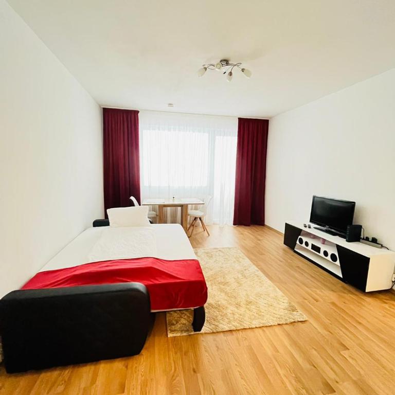 Magnifique Appartment - Apartment mit 1 Schlafzimmer - 9