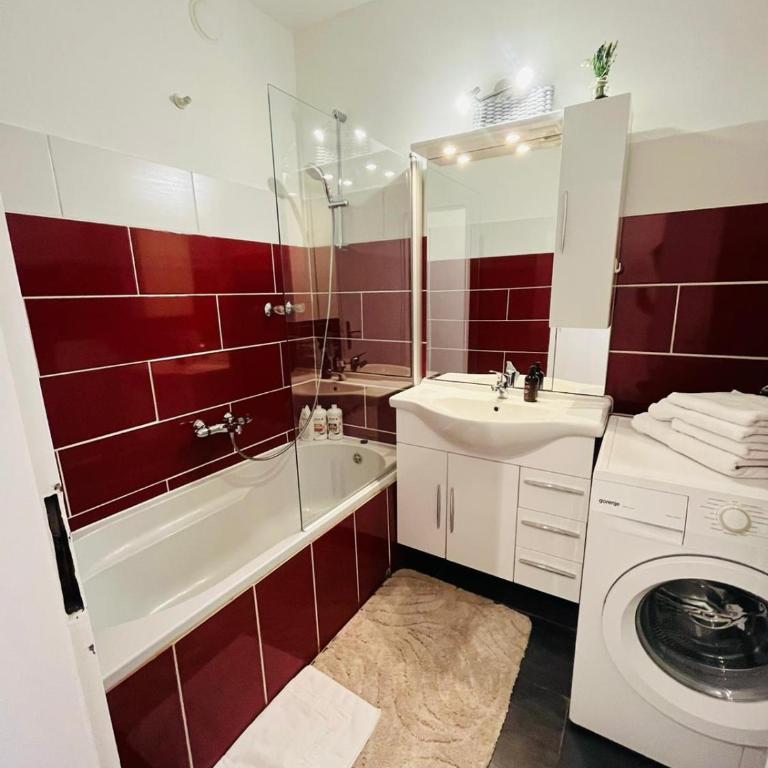 Magnifique Appartment - Apartment mit 1 Schlafzimmer - 10