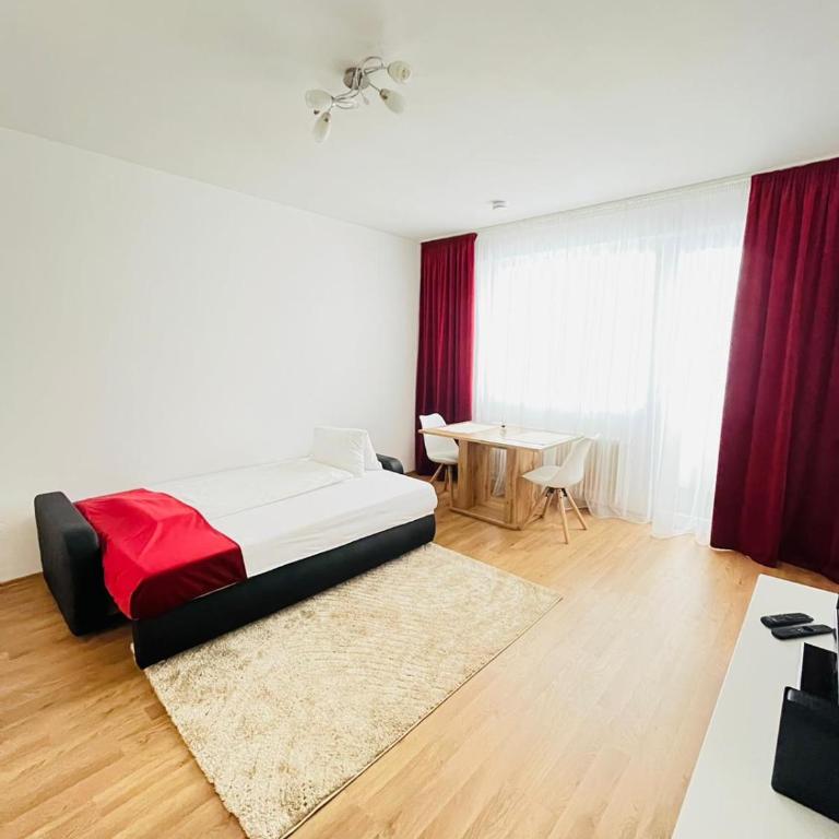 Magnifique Appartment - Apartment mit 1 Schlafzimmer - 16