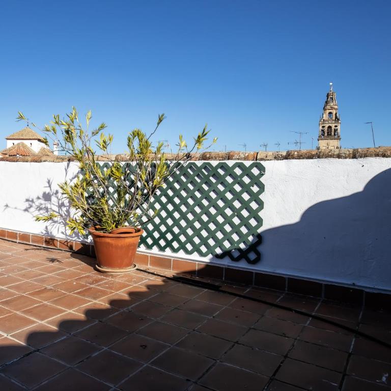 Palacio Marqués Vega Armijo & Casco Histórico - Apartamento de 2 dormitorios - 42