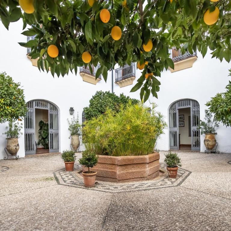 Palacio Marqués Vega Armijo & Casco Histórico - Apartamento de 2 dormitorios - 47