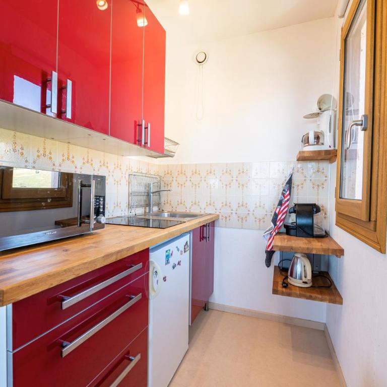Le Goléon - pistes accessibles à pied - Appartement 1 Chambre - 4