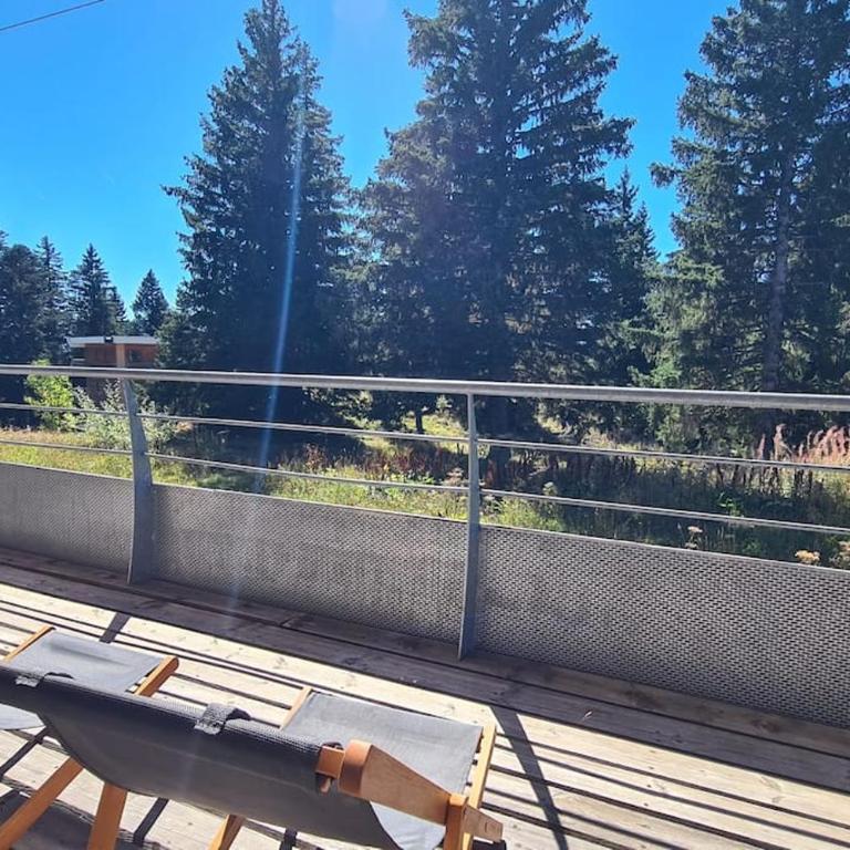 Chamrousse, 50m piste, wifi +, terrasse vue sapins - Apartment mit 2 Schlafzimmern - 1