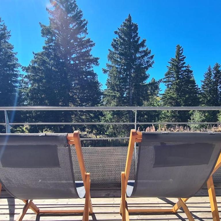 Chamrousse, 50m piste, wifi +, terrasse vue sapins - Apartment mit 2 Schlafzimmern - 17