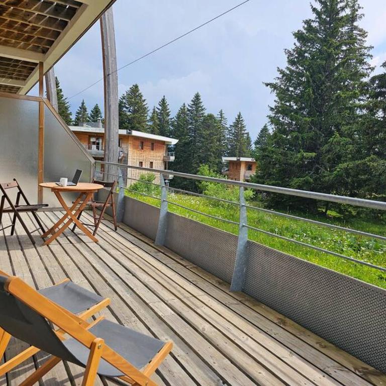 Chamrousse, 50m piste, wifi +, terrasse vue sapins - Apartment mit 2 Schlafzimmern - 18