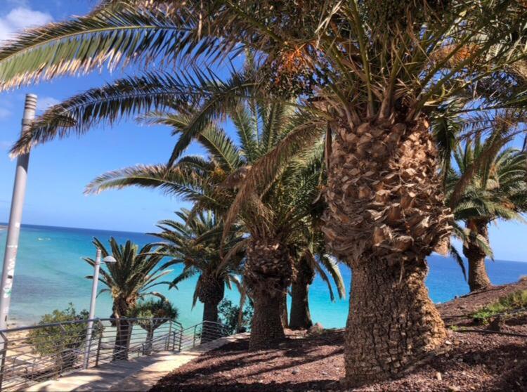Blue Beach - Apartamento de 1 dormitorio - 22