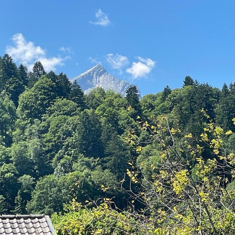 Der.Berg.Ruft - Appartement avec Vue sur la Montagne - 4