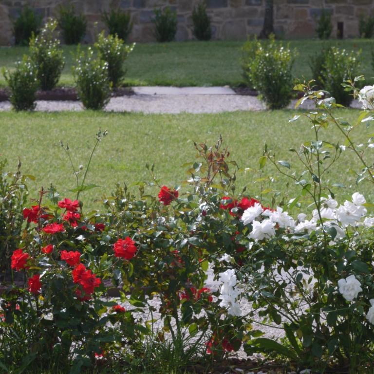 Villa La Corte - Villa - 33