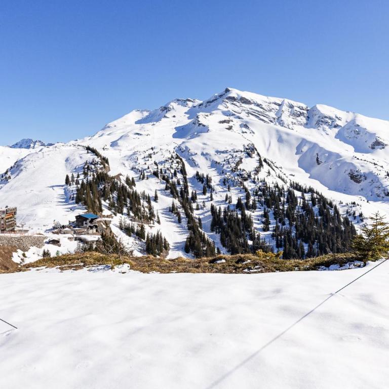 Chalet Flocon - luxury ski chalet by Avoriaz Chale - Chalet mit 3 Schlafzimmern - 32