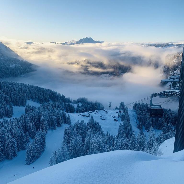 Chalet Flocon - luxury ski chalet by Avoriaz Chale - Chalet mit 3 Schlafzimmern - 61