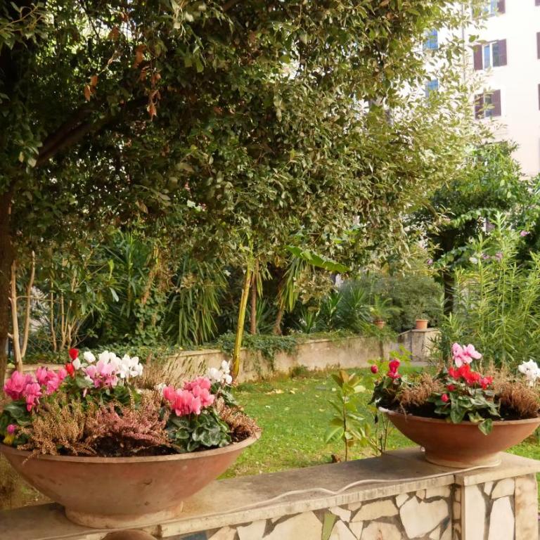 Vera Roma Suite&Apartment - Charming 3 bedroom apt - 20min walk from Colosseum - Appartamento con 3 Camere da Letto - 19