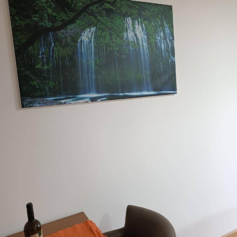 APARTMANI PORTA INFINITAS centar - Apartman sa 1 Spavaćom Sobom - 3