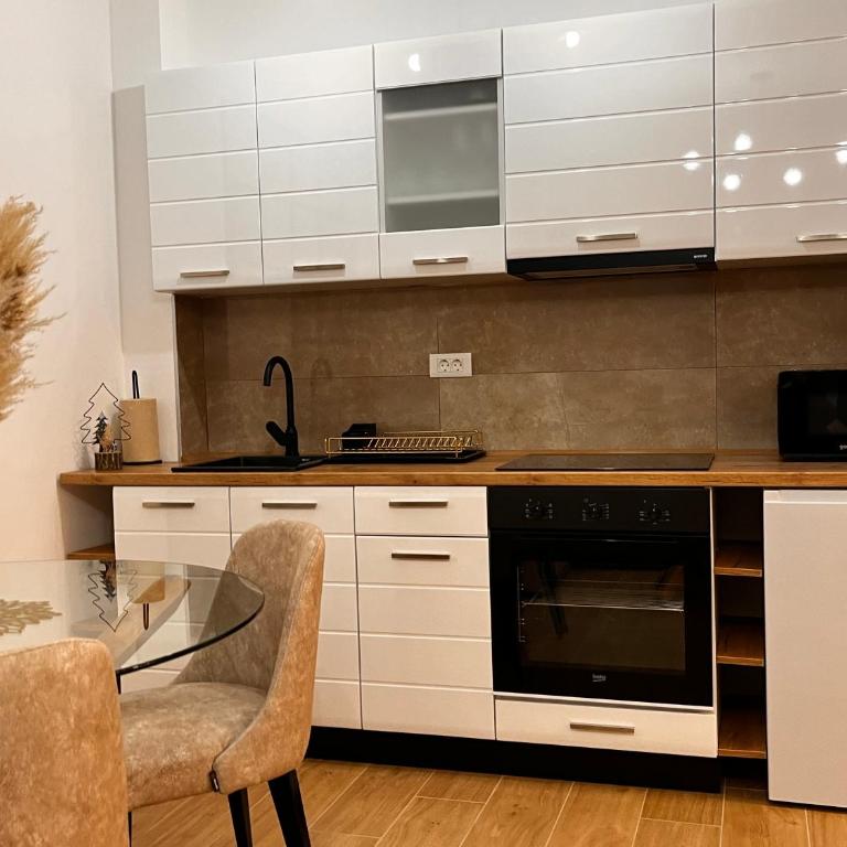 Reset Apartman Divčibare - Apartman sa 1 Spavaćom Sobom - 4