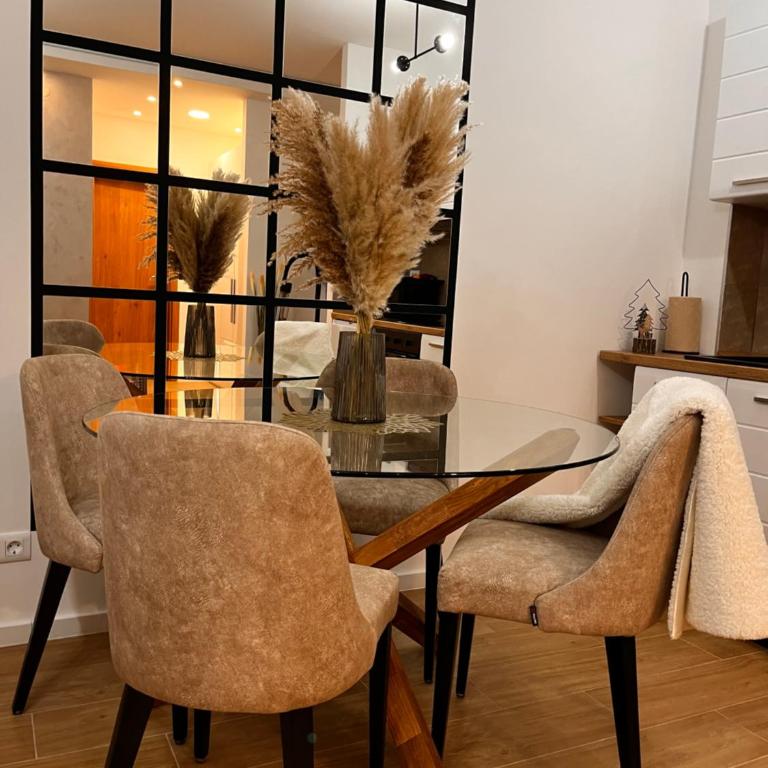Reset Apartman Divčibare - Apartman sa 1 Spavaćom Sobom - 5