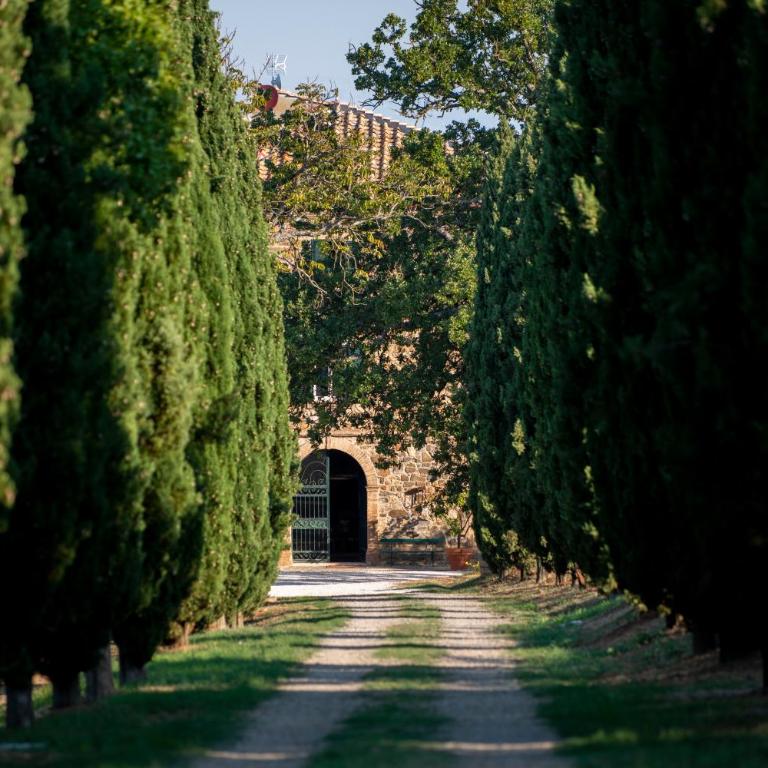 Villa Le Prata - Residenza del Vescovo - Villa - 3