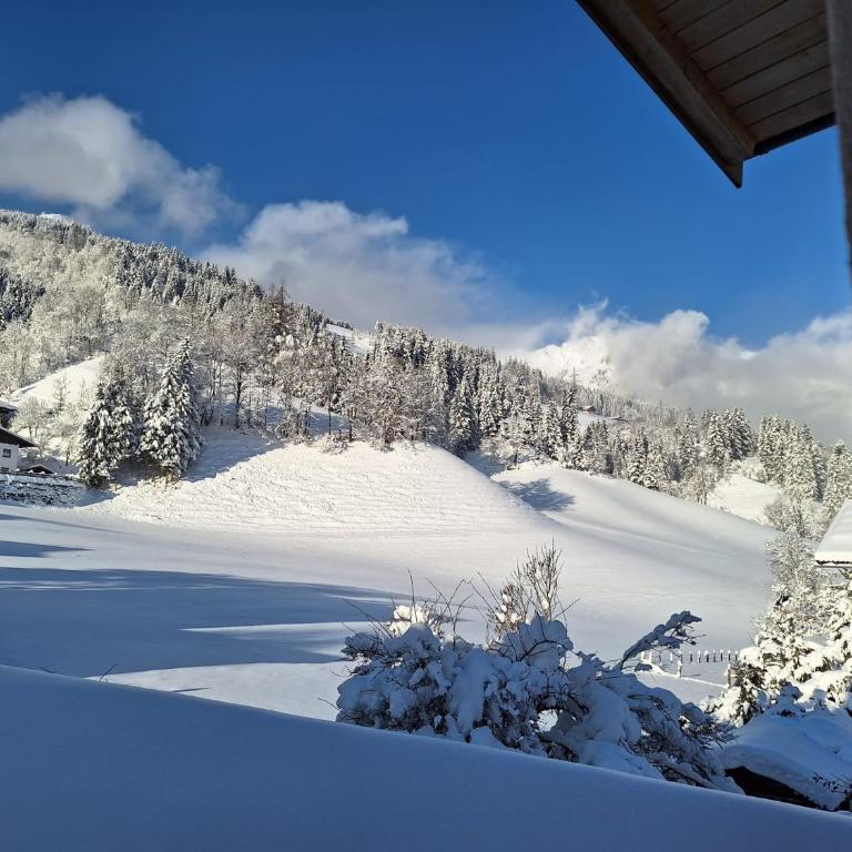 Appartement Wenger - Three-Bedroom Apartment - 12