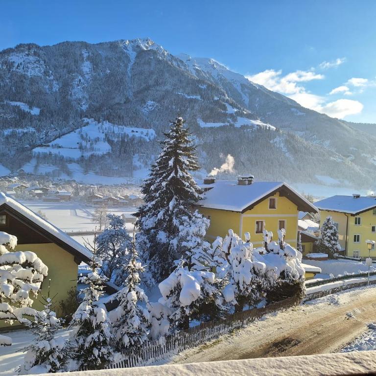 Appartement Wenger - Three-Bedroom Apartment - 10