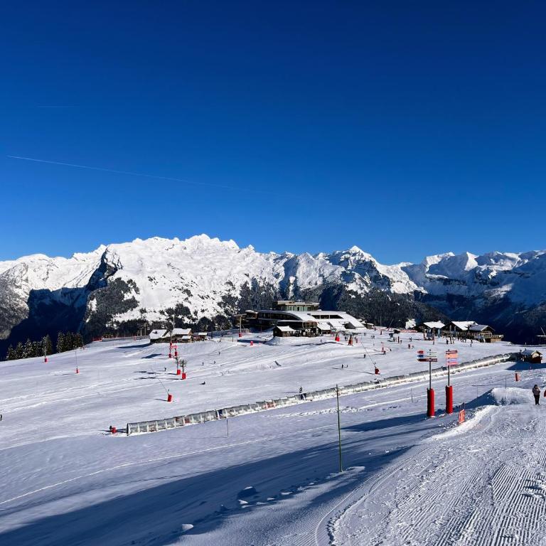 Samoens 1600, ski au pied - Appartamento con 1 Camera da Letto - 51