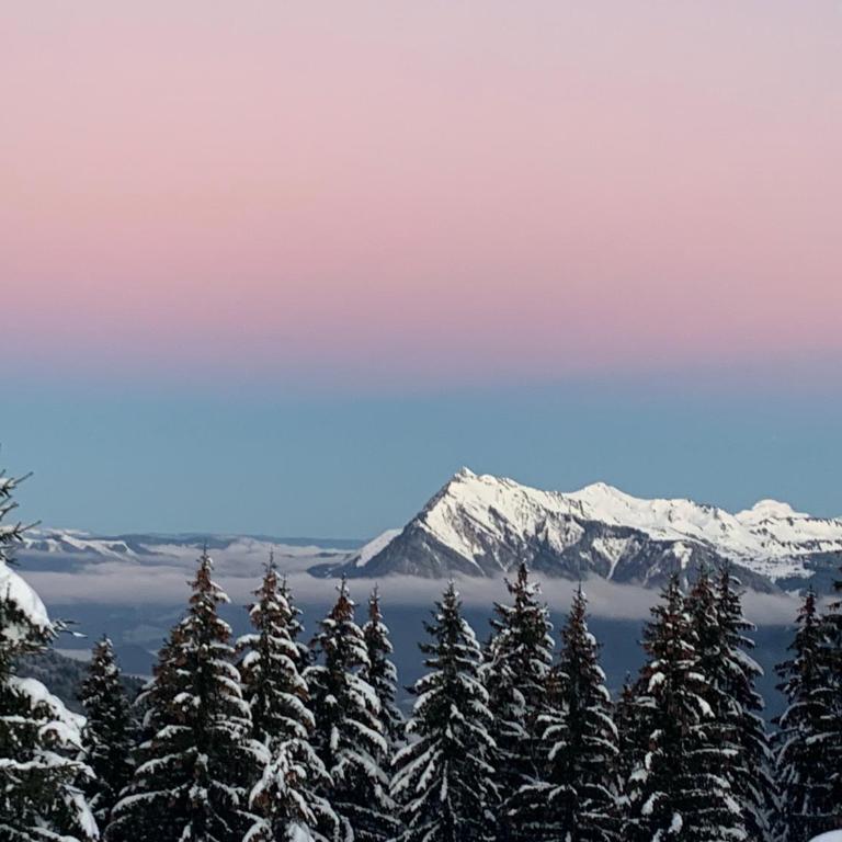 Samoens 1600, ski au pied - Appartamento con 1 Camera da Letto - 56