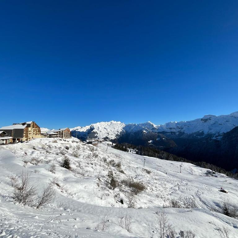 Samoens 1600, ski au pied - Appartamento con 1 Camera da Letto - 60