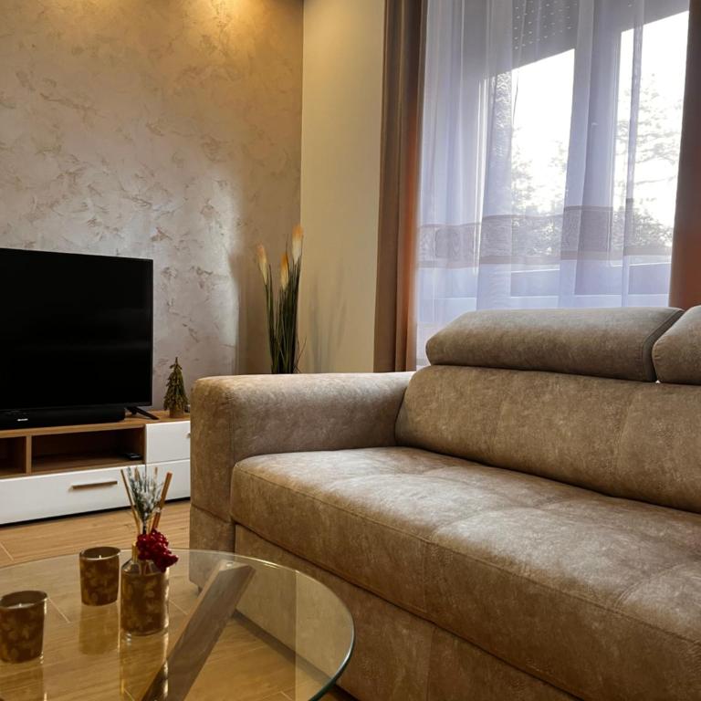 Reset Apartman Divčibare - Apartman sa 1 Spavaćom Sobom - 18