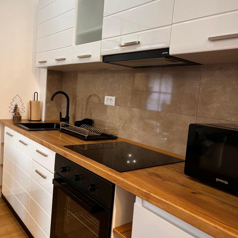 Reset Apartman Divčibare - Apartman sa 1 Spavaćom Sobom - 25