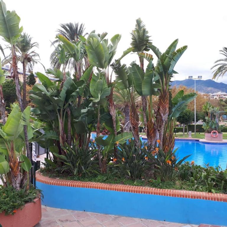 Luxury Sea View Apartment with 2 Terraces - Apartment with Terrace - 15