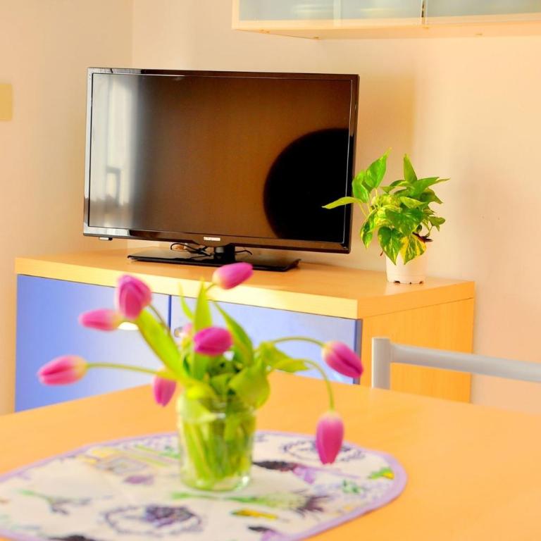 Enjoy sun, sand, and shopping in our studio - Studio - 3